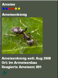 Fake von Corvyn von Gotha f�r Armillon